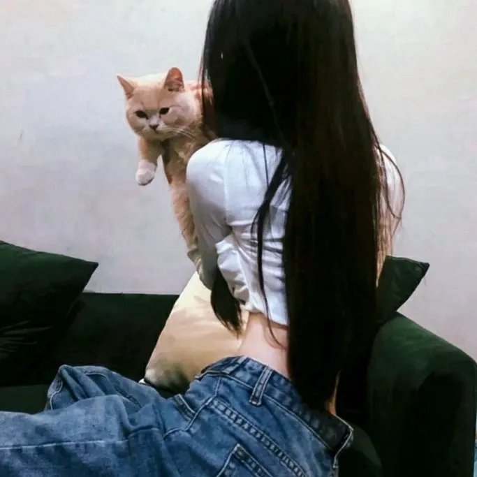 《梯田姐妹》封面